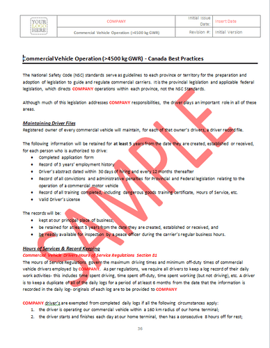 Commercial Vehicle Operation - Canada Industry Practice RAVS
