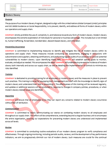 Modern Slavery ISNet RAVS - Canada Industry Practice ESG Template