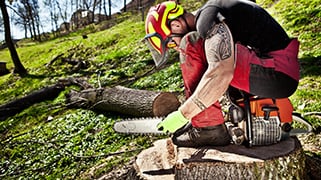 Chainsaw Safety Training (OSHA) - Safety online training course for US (OSHA)
