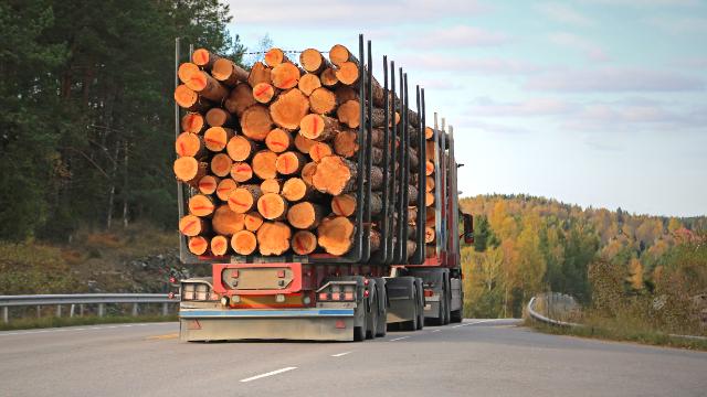 Load Securement Training (Division 1 Logs) - Drivers and Fleet online training course